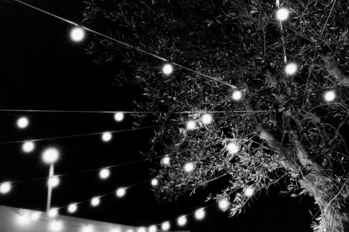 ritratto in bianco nero