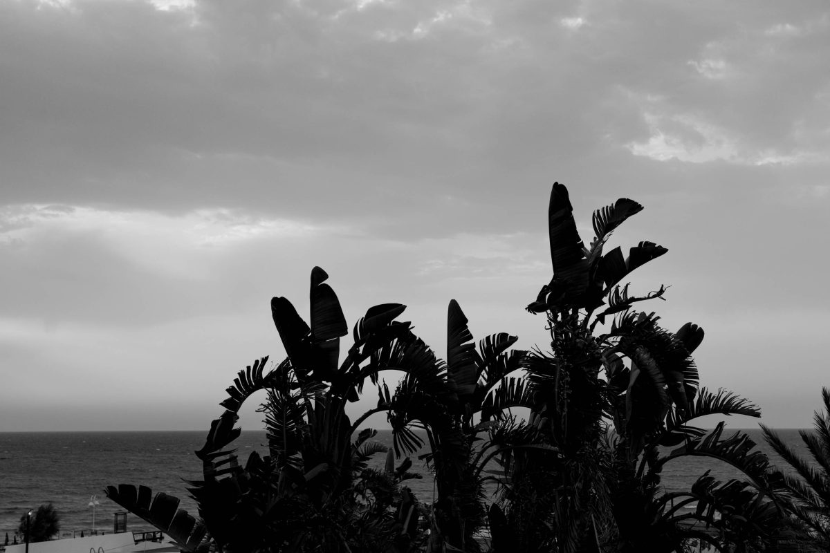 ritratto in bianco nero